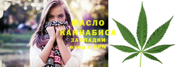 дживик Бронницы