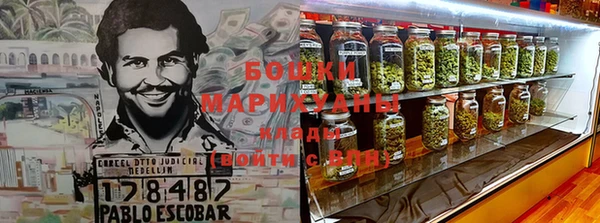 дживик Бронницы