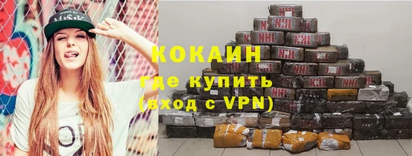 дживик Бронницы